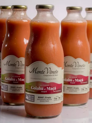 Suco e polpa de goiaba e maçã 1L Monte Vêneto