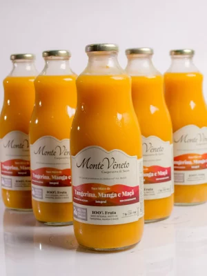 Suco de tang. manga e maçã 1L Monte Vêneto