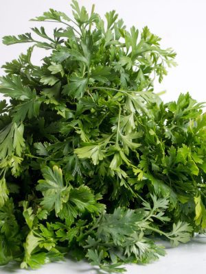 Salsa molho