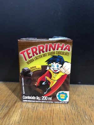 Terrinha Bebida Láctea Sabor Chocolate Terra Viva 150ml