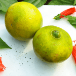 Laranja Champanhe 500g