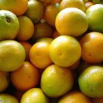 Laranja Pêra (500g)