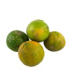 Limão Galego Org. (500g)