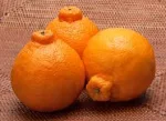 Laranja Decopon 500g