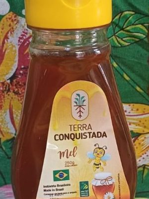 Mel Bisnaga 250g - Terra Conquistada