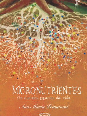 Micronutrientes – Os duendes gigantes da vida