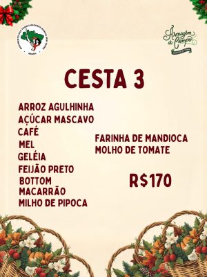 Cesta de natal 3